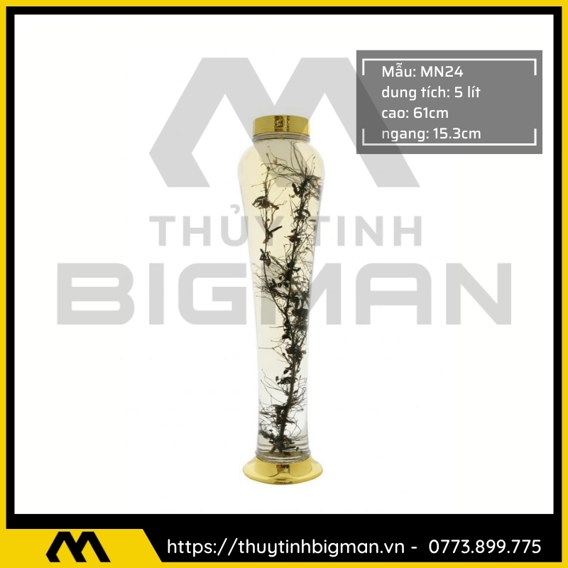Thủy tinh bigman - Bình sâm Hàn Quốc mẫu 12