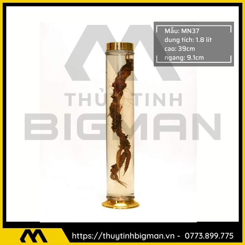 Thủy tinh bigman - Bình sâm Hàn Quốc mẫu 25