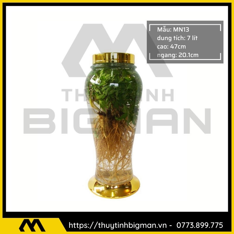 Thủy tinh bigman - Bình sâm Hàn Quốc mẫu 3