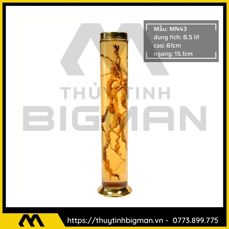 Thủy tinh bigman - Bình sâm Hàn Quốc mẫu 31