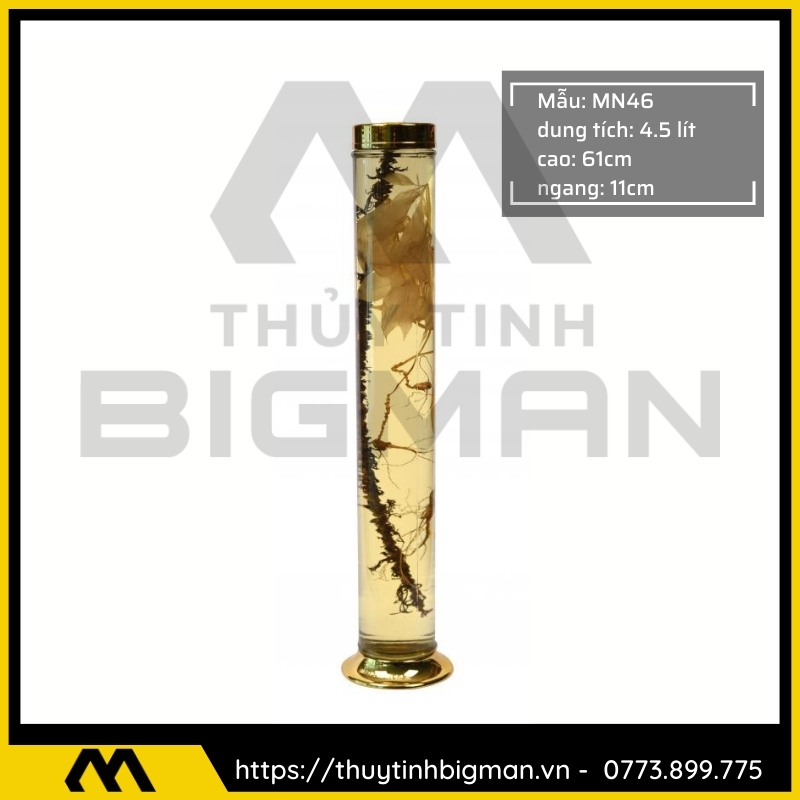 Thủy tinh bigman - Bình sâm Hàn Quốc mẫu 34