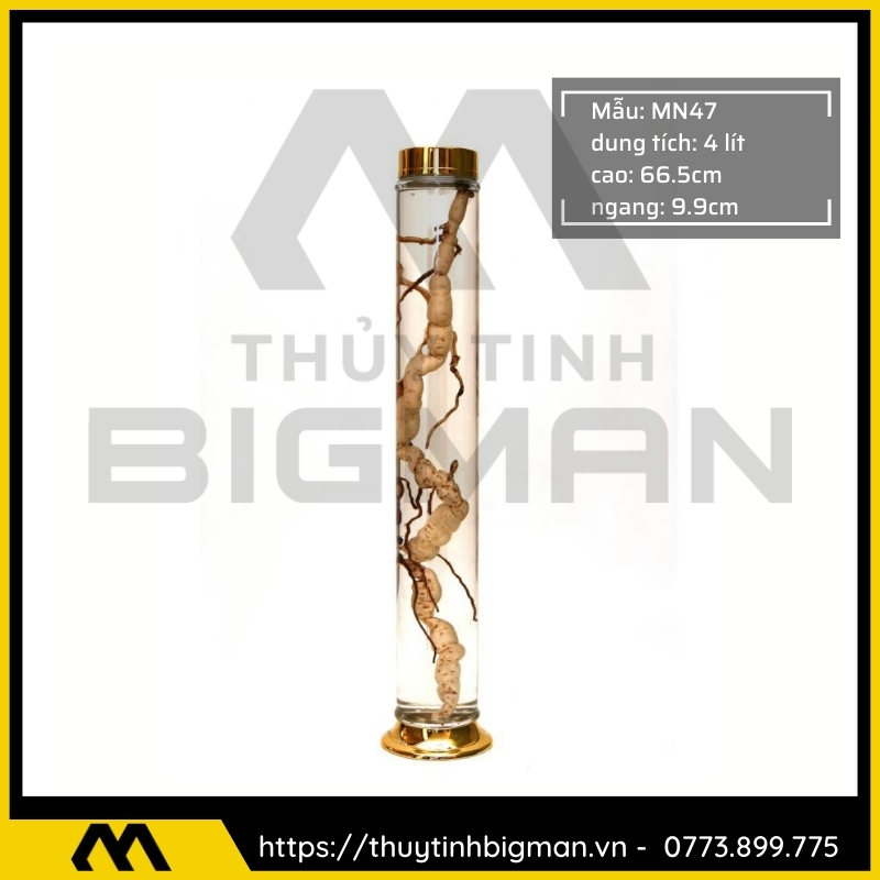 Thủy tinh bigman - Bình sâm Hàn Quốc mẫu 35