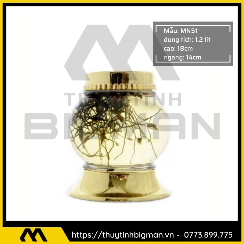 Thủy tinh bigman - Bình sâm Hàn Quốc mẫu 39