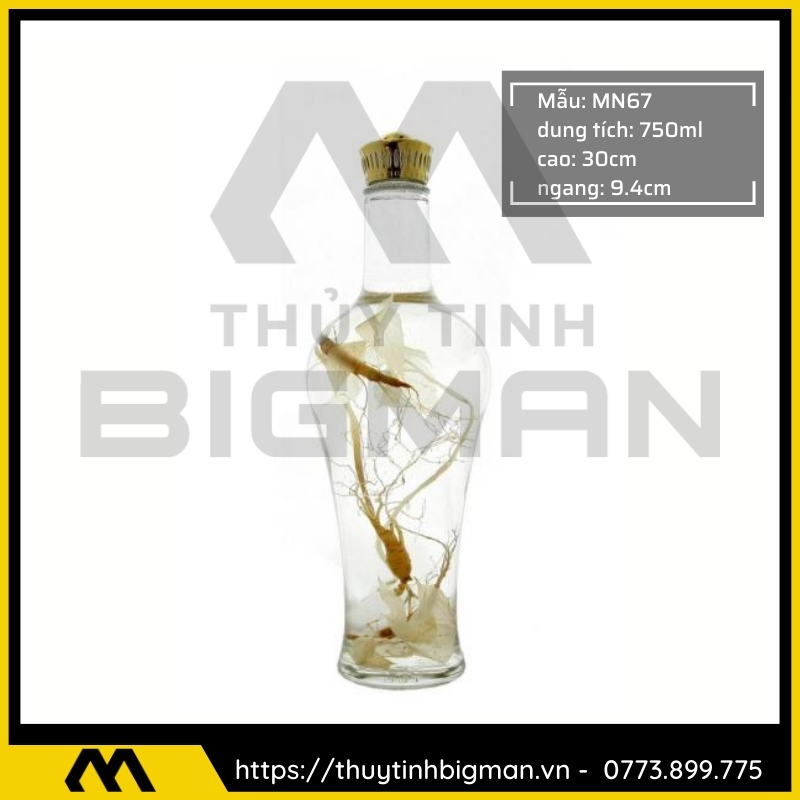 Thủy tinh bigman - Bình sâm Hàn Quốc mẫu 55