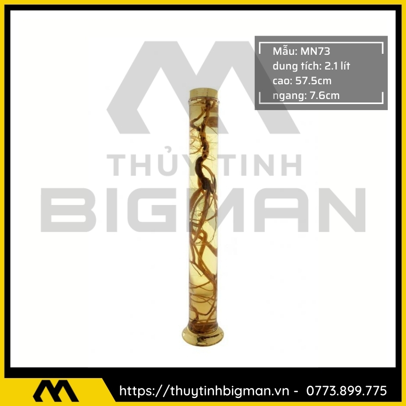 Thủy tinh bigman - Bình sâm Hàn Quốc mẫu 61