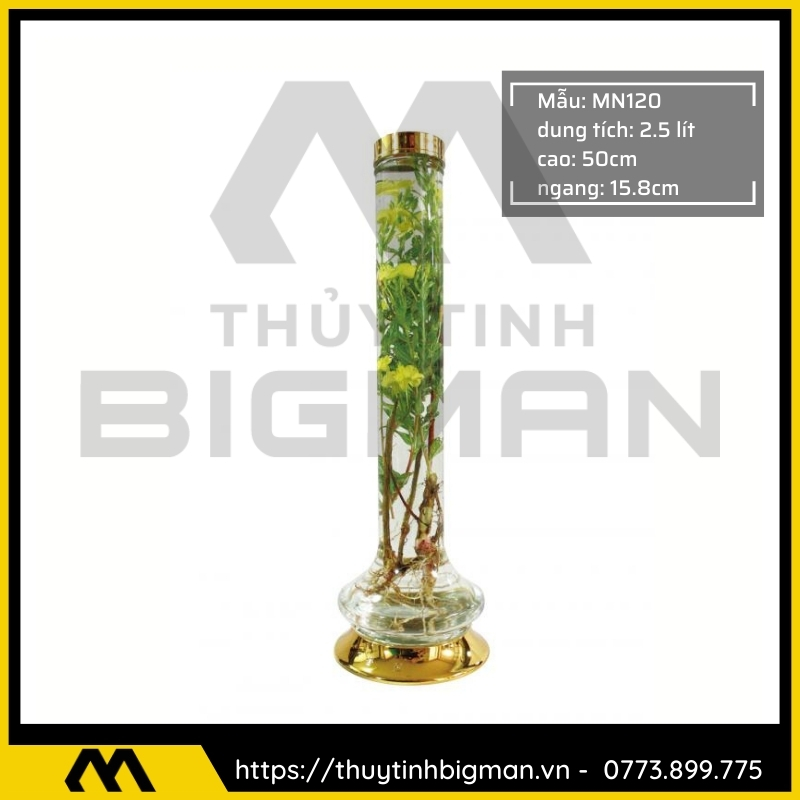 Thủy tinh bigman - Bình sâm Hàn Quốc mẫu 90