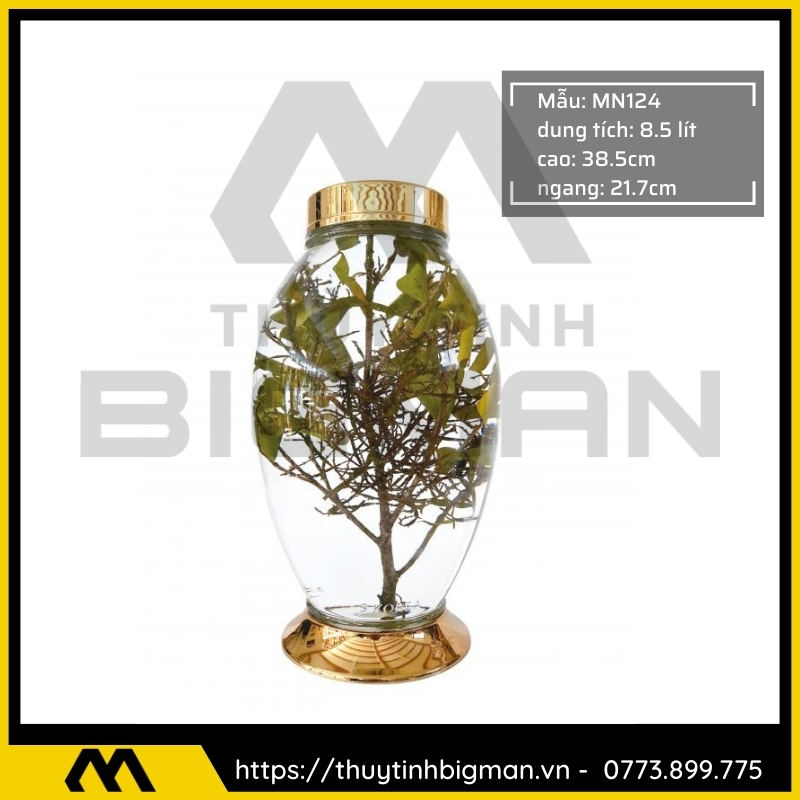 Thủy tinh bigman - Bình sâm Hàn Quốc mẫu 94
